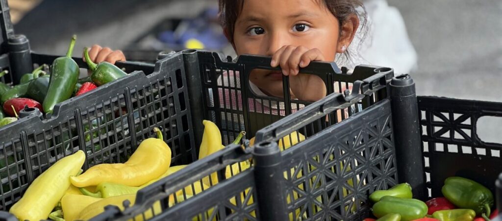 timid young farmer's child peeking cautiously at photographer from behind the safety of crates of her family-grown vegetables at Lexington VA farmers market