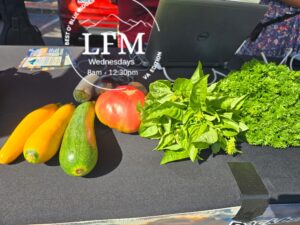 seasonal herbs & veggies in all their glory