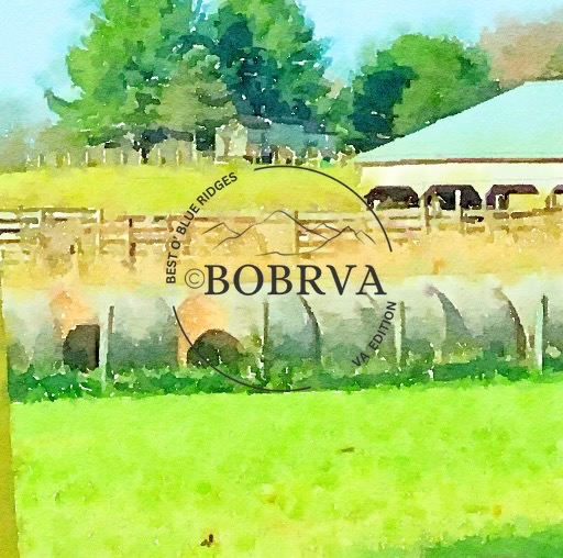 Grains & Grasses wrapped for Winter season; has watermark