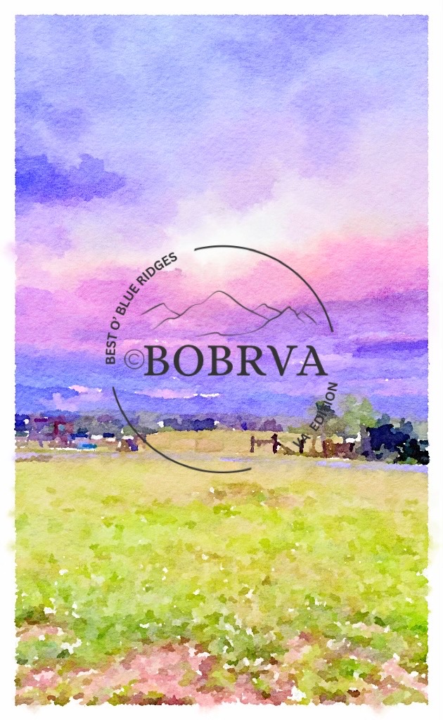 Lexington Lavender Twilight