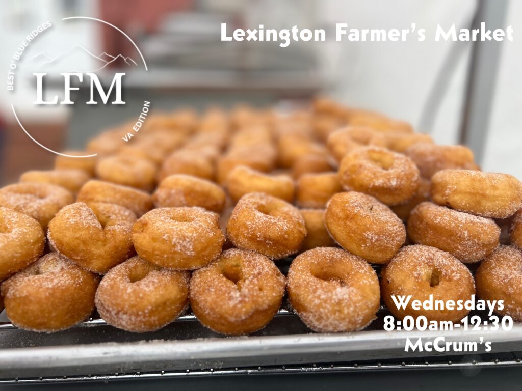 Go Nuts for Donuts!